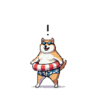 夏を満喫 太っちょ柴犬（個別スタンプ：9）