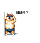 夏を満喫 太っちょ柴犬（個別スタンプ：10）