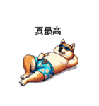 夏を満喫 太っちょ柴犬（個別スタンプ：12）