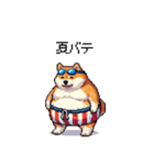 夏を満喫 太っちょ柴犬（個別スタンプ：13）