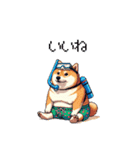 夏を満喫 太っちょ柴犬（個別スタンプ：17）