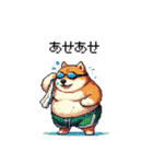 夏を満喫 太っちょ柴犬（個別スタンプ：18）