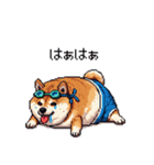 夏を満喫 太っちょ柴犬（個別スタンプ：19）