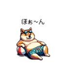 夏を満喫 太っちょ柴犬（個別スタンプ：20）