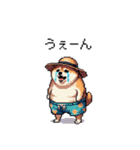 夏を満喫 太っちょ柴犬（個別スタンプ：22）