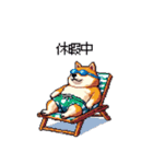 夏を満喫 太っちょ柴犬（個別スタンプ：25）