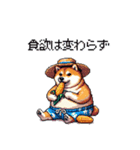 夏を満喫 太っちょ柴犬（個別スタンプ：26）