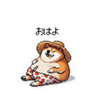夏を満喫 太っちょ柴犬（個別スタンプ：27）