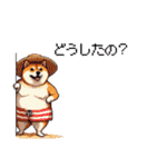 夏を満喫 太っちょ柴犬（個別スタンプ：28）