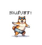 夏を満喫 太っちょ柴犬（個別スタンプ：31）