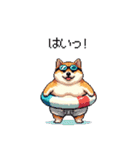 夏を満喫 太っちょ柴犬（個別スタンプ：34）