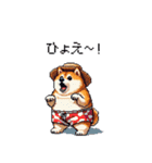 夏を満喫 太っちょ柴犬（個別スタンプ：36）