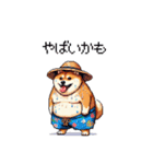 夏を満喫 太っちょ柴犬（個別スタンプ：37）