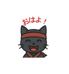 忍者猫001（個別スタンプ：1）
