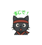 忍者猫001（個別スタンプ：5）