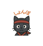 忍者猫001（個別スタンプ：8）