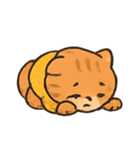もこもこセーター茶トラ行進（個別スタンプ：17）
