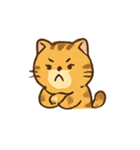 ぽっちゃりトラ猫の感情パック（個別スタンプ：11）