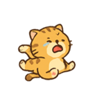 ぽっちゃりトラ猫の感情パック（個別スタンプ：12）