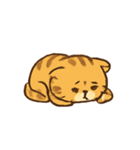 ぽっちゃりトラ猫の感情パック（個別スタンプ：14）