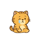 ぽっちゃりトラ猫の感情パック（個別スタンプ：18）