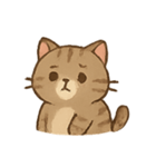 しましま子猫ミャオのリアクションセット（個別スタンプ：4）