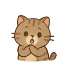 しましま子猫ミャオのリアクションセット（個別スタンプ：5）