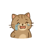 しましま子猫ミャオのリアクションセット（個別スタンプ：11）