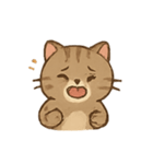 しましま子猫ミャオのリアクションセット（個別スタンプ：12）