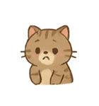 しましま子猫ミャオのリアクションセット（個別スタンプ：13）