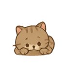 しましま子猫ミャオのリアクションセット（個別スタンプ：18）