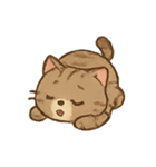 しましま子猫ミャオのリアクションセット（個別スタンプ：23）