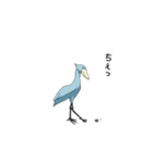 怪鳥？快鳥？ハシビロコウ Ver.4（個別スタンプ：5）