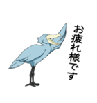 怪鳥？快鳥？ハシビロコウ Ver.4（個別スタンプ：7）