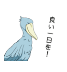 怪鳥？快鳥？ハシビロコウ Ver.4（個別スタンプ：12）