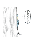 怪鳥？快鳥？ハシビロコウ Ver.4（個別スタンプ：39）
