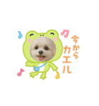 HANI's 3（個別スタンプ：3）