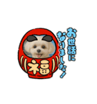 HANI's 3（個別スタンプ：4）