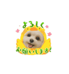 HANI's 3（個別スタンプ：7）