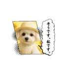 HANI's 3（個別スタンプ：9）