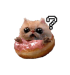 猫ミーム【ドーナツ猫】Q（個別スタンプ：2）