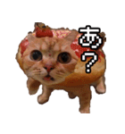 猫ミーム【ドーナツ猫】Q（個別スタンプ：11）