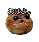 猫ミーム【ドーナツ猫】Q（個別スタンプ：17）
