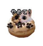 猫ミーム【ドーナツ猫】Q（個別スタンプ：29）