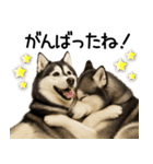シベリアンハスキー★毎日の思いやり♡（個別スタンプ：15）