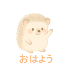 私のハリネズミちゃんが可愛くなりました。（個別スタンプ：1）