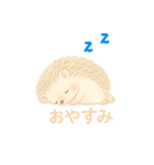 私のハリネズミちゃんが可愛くなりました。（個別スタンプ：3）