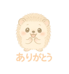 私のハリネズミちゃんが可愛くなりました。（個別スタンプ：5）