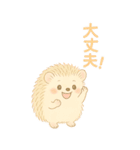 私のハリネズミちゃんが可愛くなりました。（個別スタンプ：15）