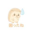 私のハリネズミちゃんが可愛くなりました。（個別スタンプ：19）